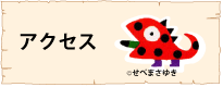 �A�N�Z�X